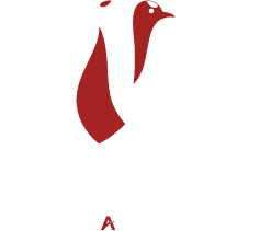 COOKING FOODS MASUDA
